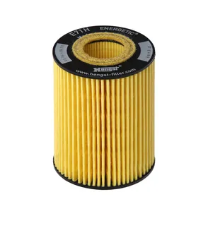 Hengst Engine Oil Filter - 6421800009
